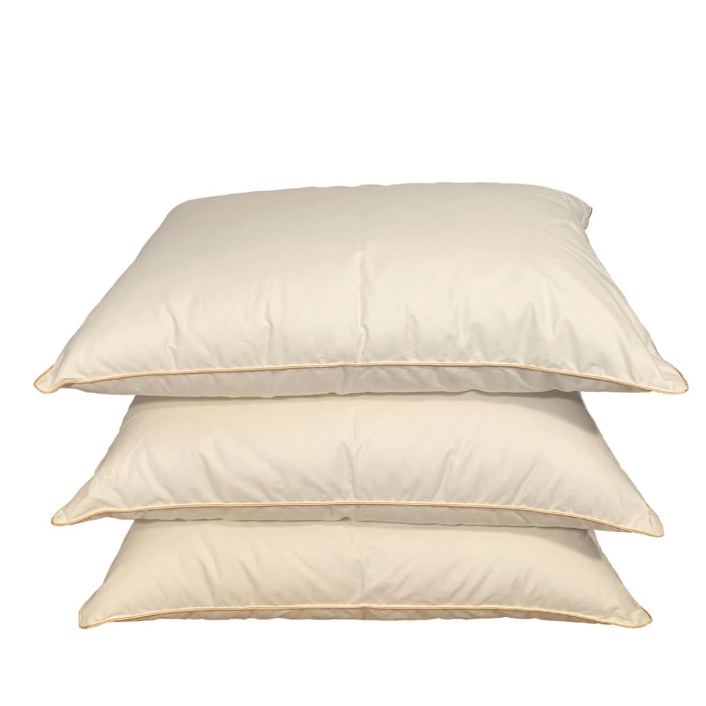 Divpusēja sega un divas spilveni ar zoss dūnu un spalvu pildījumu