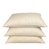 Divpusēja sega un divas spilveni ar zoss dūnu un spalvu pildījumu