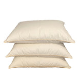 Vienvietīga sega un spilvens ar zoss dūnu un spalvu pildījumu